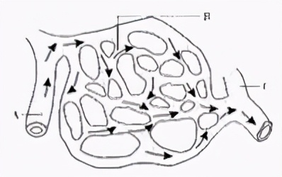 八年级生物中考新突破2024年,生物八年级上册达标测试卷