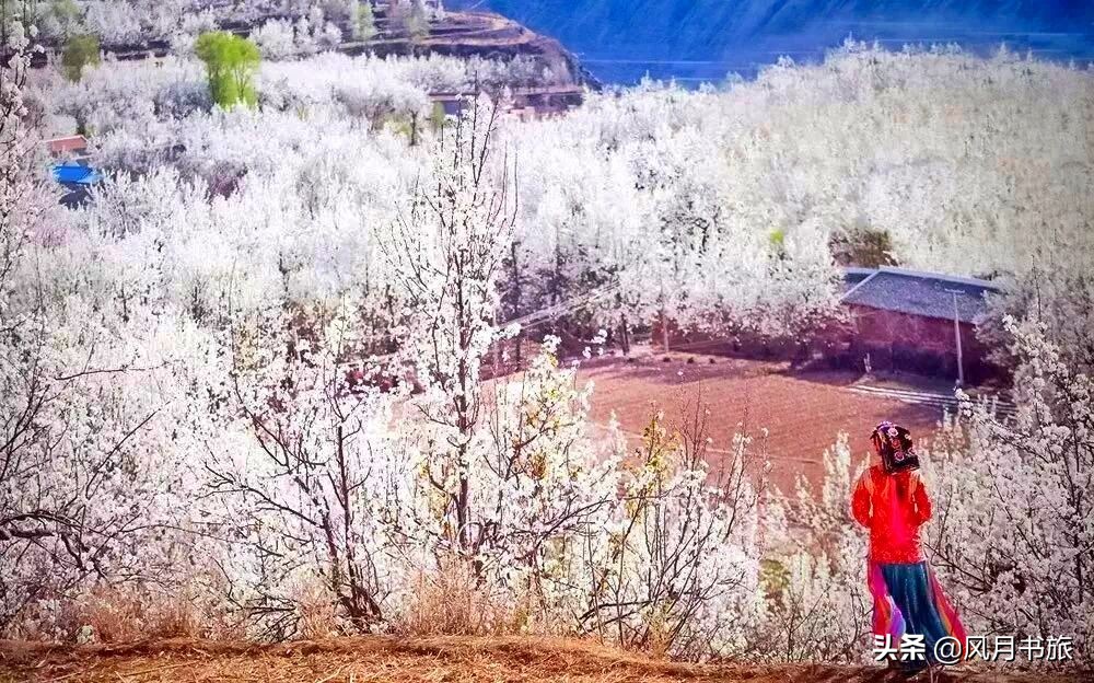 成都出发林芝旅游攻略图,金川梨花节自驾游五日线路图