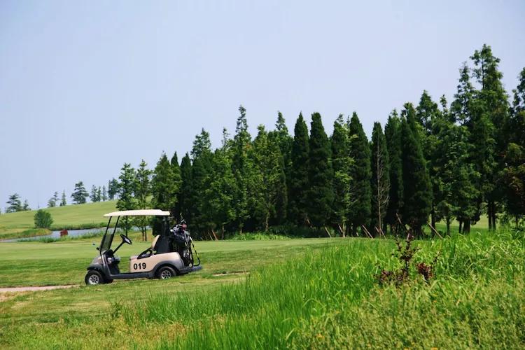 尼康入门单反,单反快速入门攻略