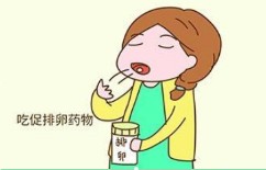 备孕小常识什么情况下需要促排卵,备孕期打促排卵针容易怀双胞胎吗