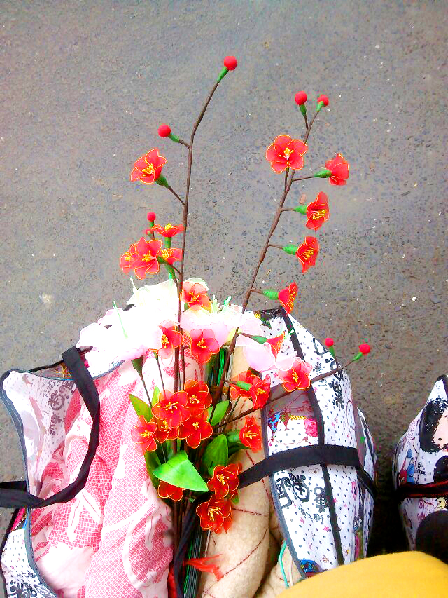 为什么要去长沙民政职业技术学院,长沙民政职业技术学院校园圈