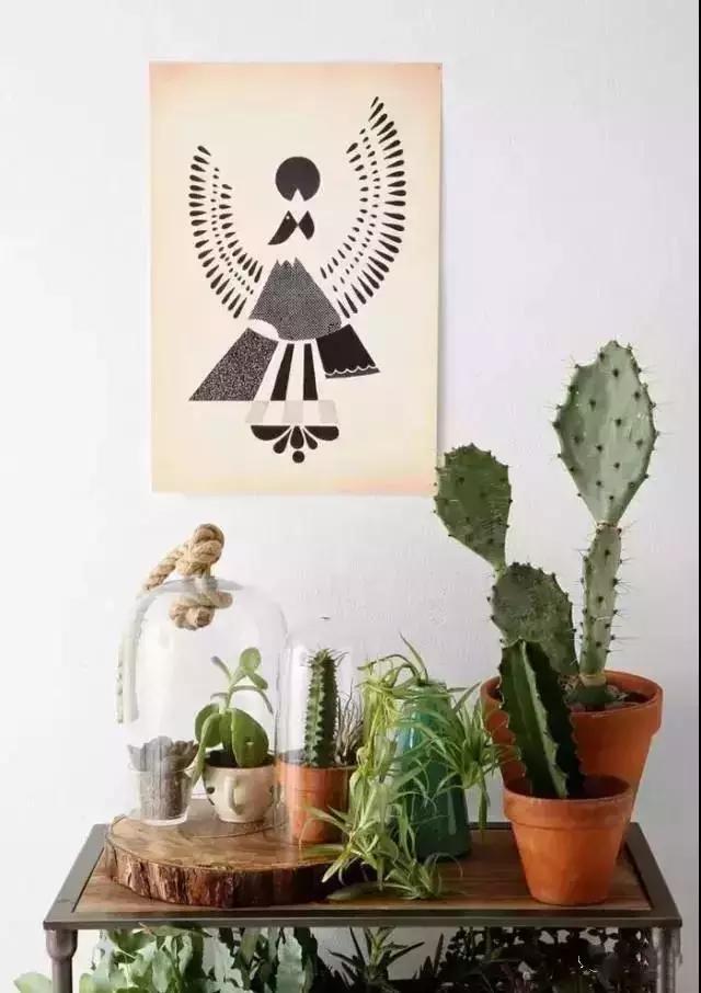 什么植物甲醛吸附好,房间里吸收甲醛的植物有哪些