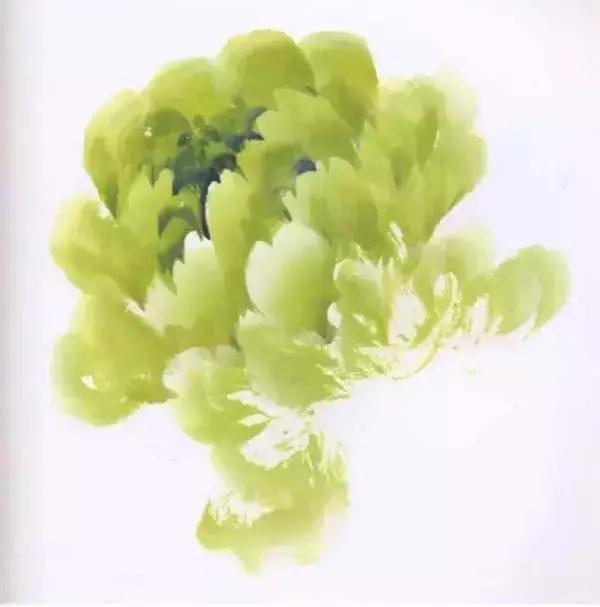 牡丹九大色系,九种牡丹调色法