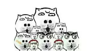 高考结束后的段子手,高考结束后的段子