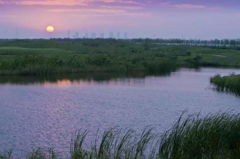 沣河往事，我的爷呀，我的河