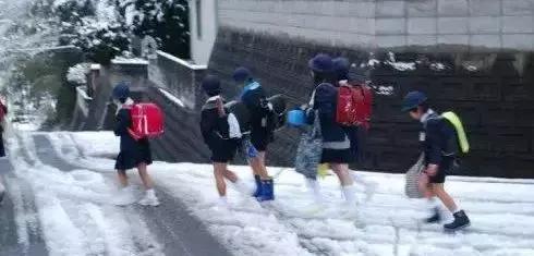 小鸟快验科普｜外国人穿那么少不怕得风湿吗？