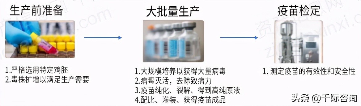 免费疫苗接种政策,免费接种疫苗有哪些