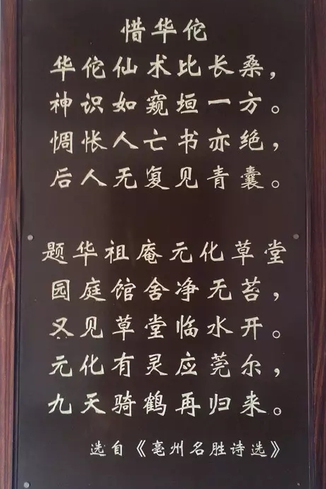 亳州华祖庵和华佗百草园,中医华佗之乡亳州