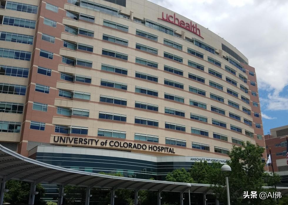 美国各大医院的医疗水平,美国每个州最好的大学