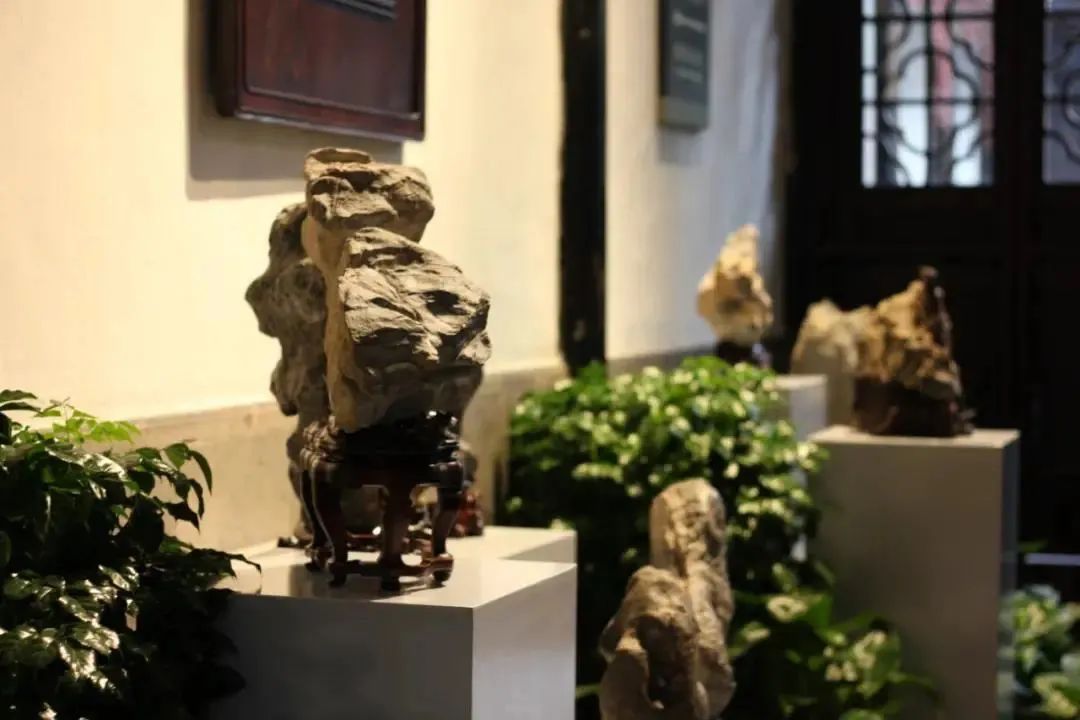 苏州旅游一定要去的地方推荐,去苏州旅游攻略必备