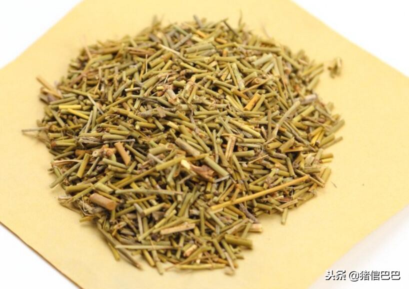 天气转冷猪咳嗽喘气怎么办?这些中药可以起到不错的预防效果