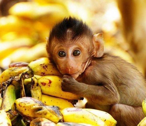 如何有效改善考试时的低级错误,考试的时候老是犯低级错误怎么办