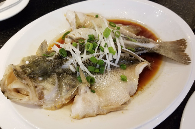 她做保姆这些年豪门生活最新篇,她做保姆这些年二十三