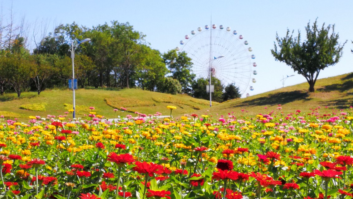 秋高气爽共赴云顶山,秋高气爽游园乐