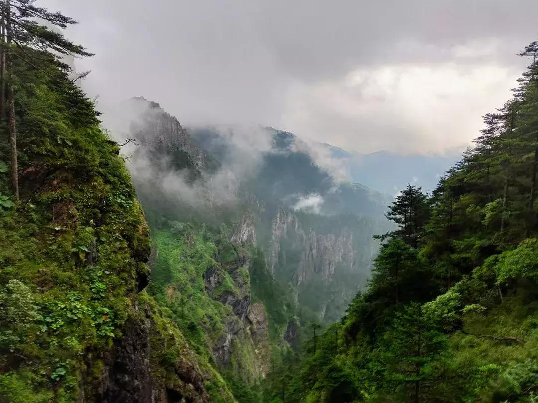 神农架攻略书,重庆出发神农架三日自驾游攻略