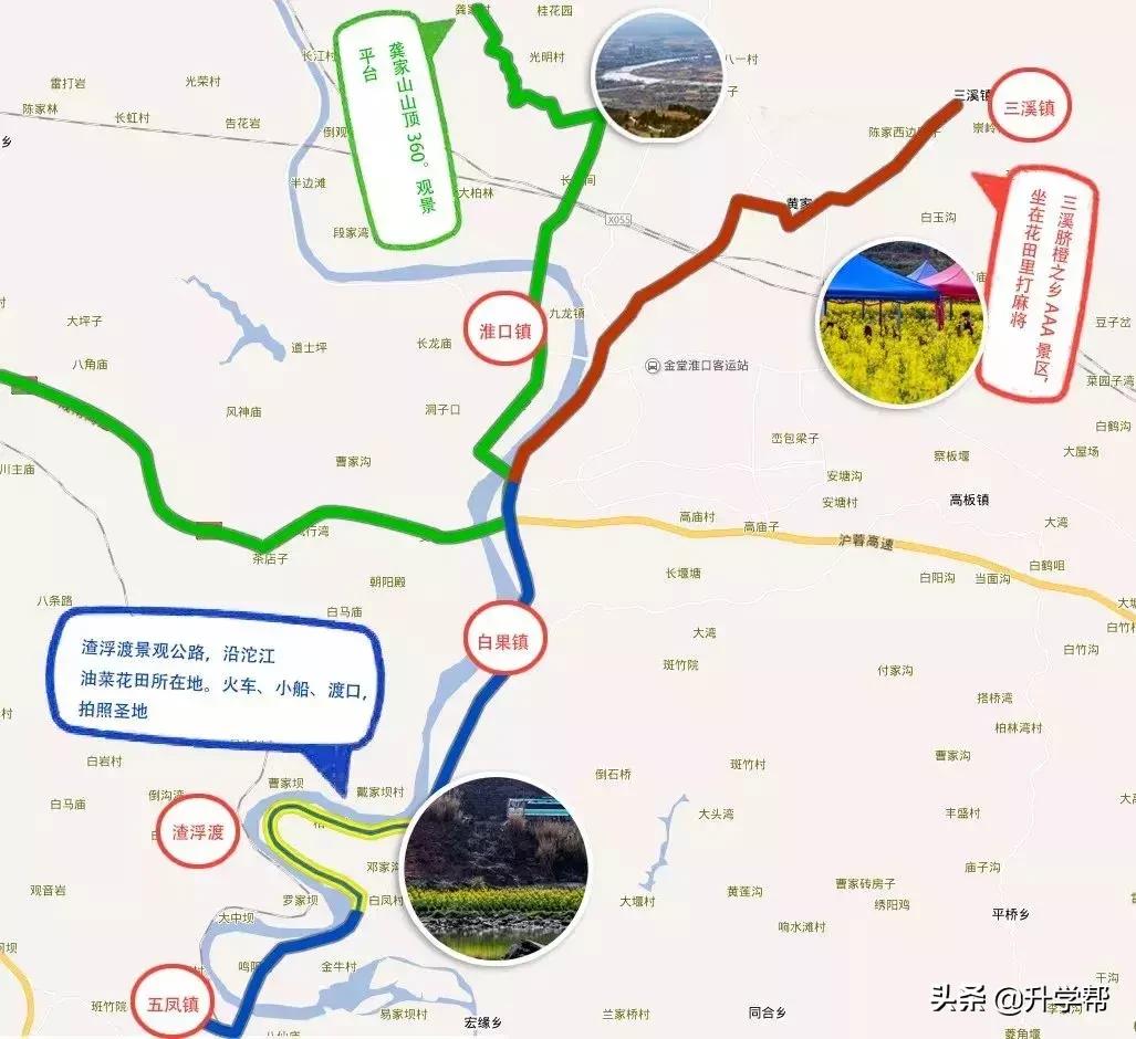 成都看花玩水,成都春游看花