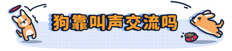 狗言狗语,中国的狗和外国的狗语言一样吗