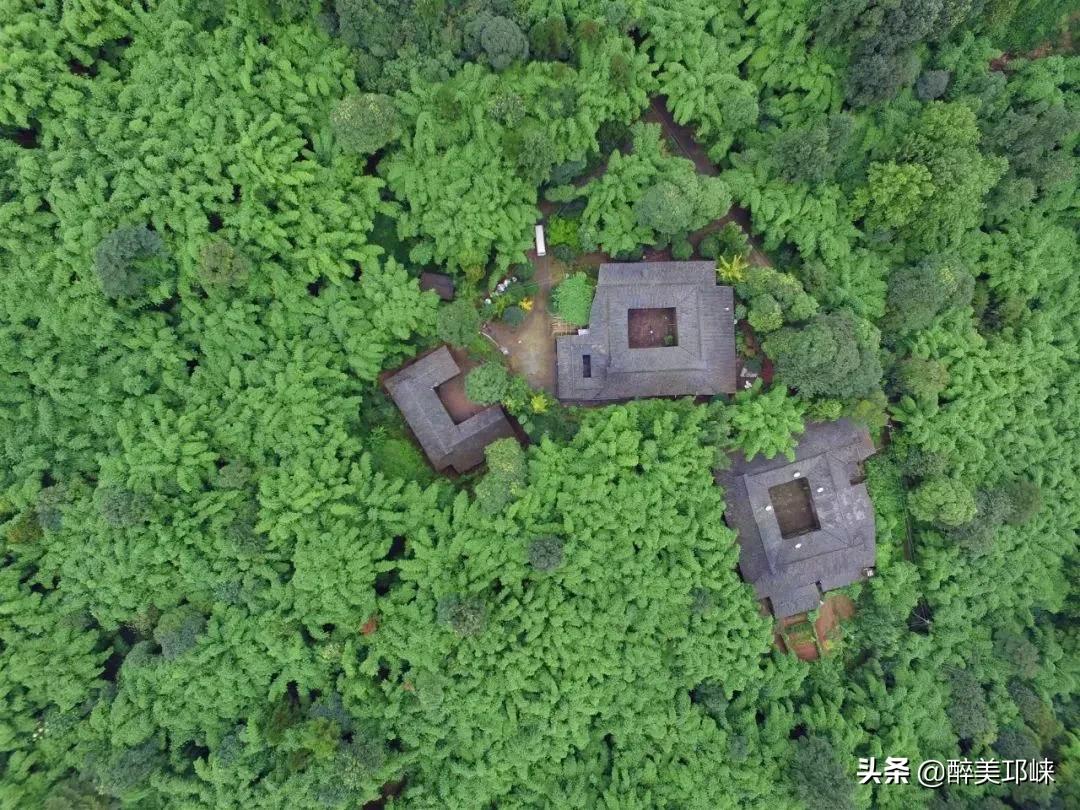 为什么有的人投资眼光很准,为什么越来越多的资本想投资酱酒