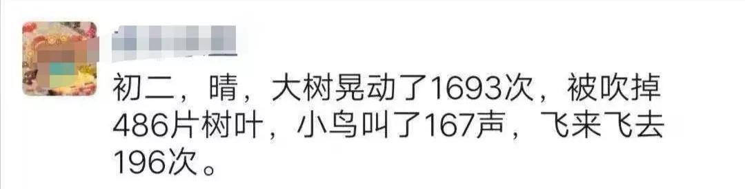 春节宅家防疫情不无聊！这些展览不出门也能逛！