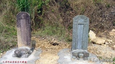 姓氏探源禹,姓氏文化探源