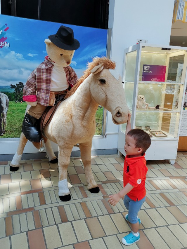 泰迪熊博物馆全球有哪些,世界泰迪熊博物馆