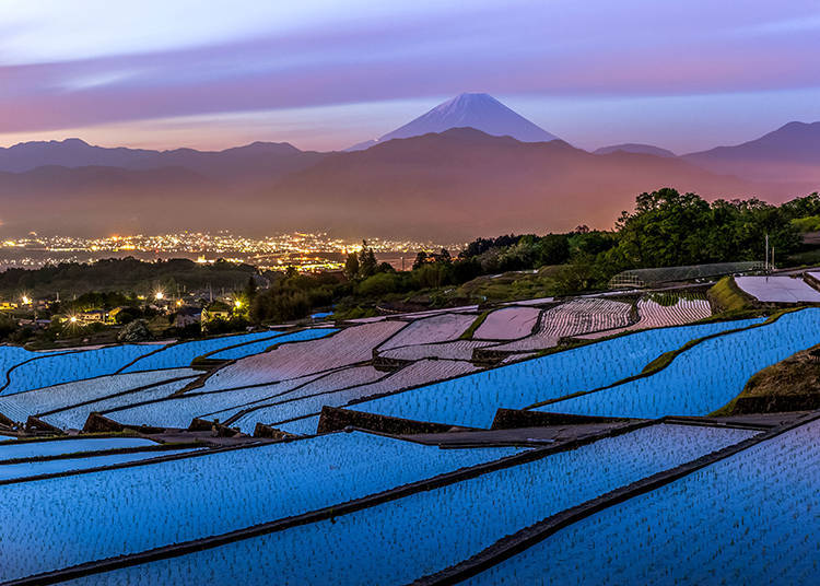 富士山和什么是日本的象征,富士山为什么是日本的象征