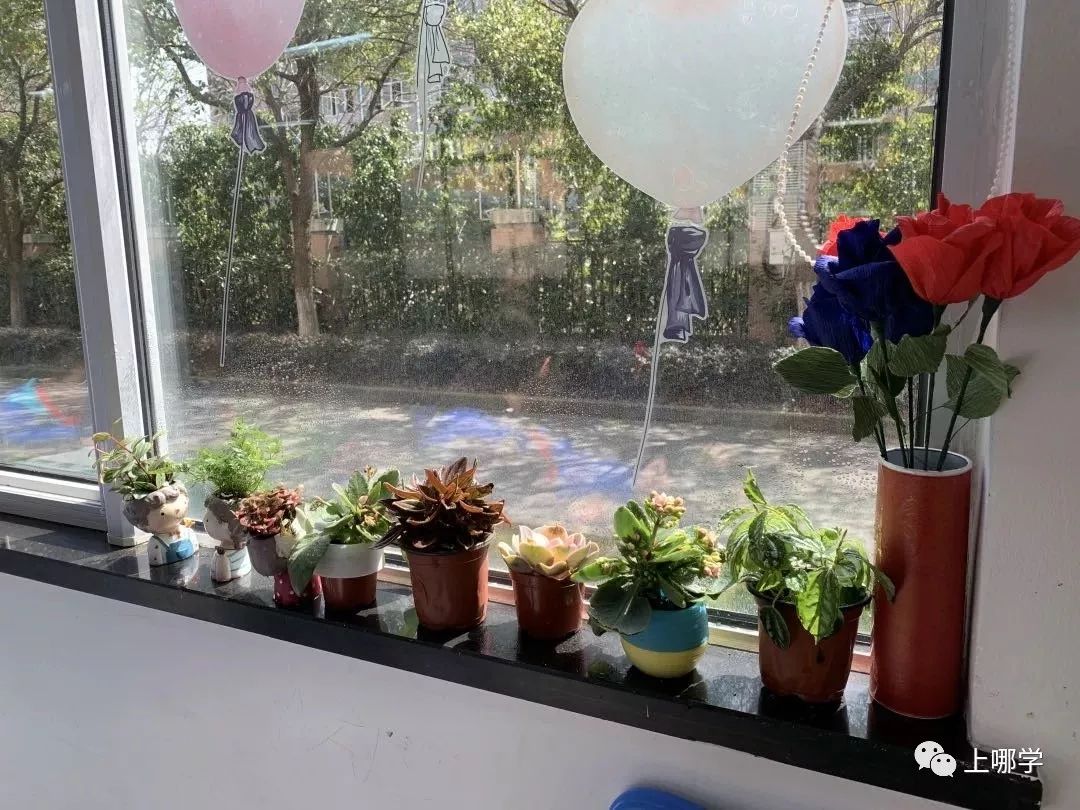 上海实验学校对口什么小区,上海民办初中有对口小区吗