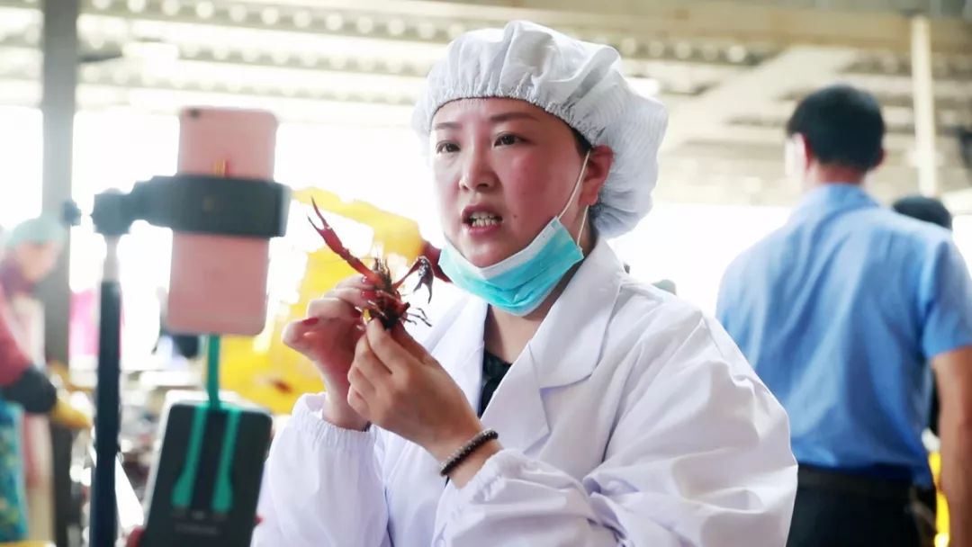 安阳直播卖小龙虾的,诸暨直播卖小龙虾鲜活
