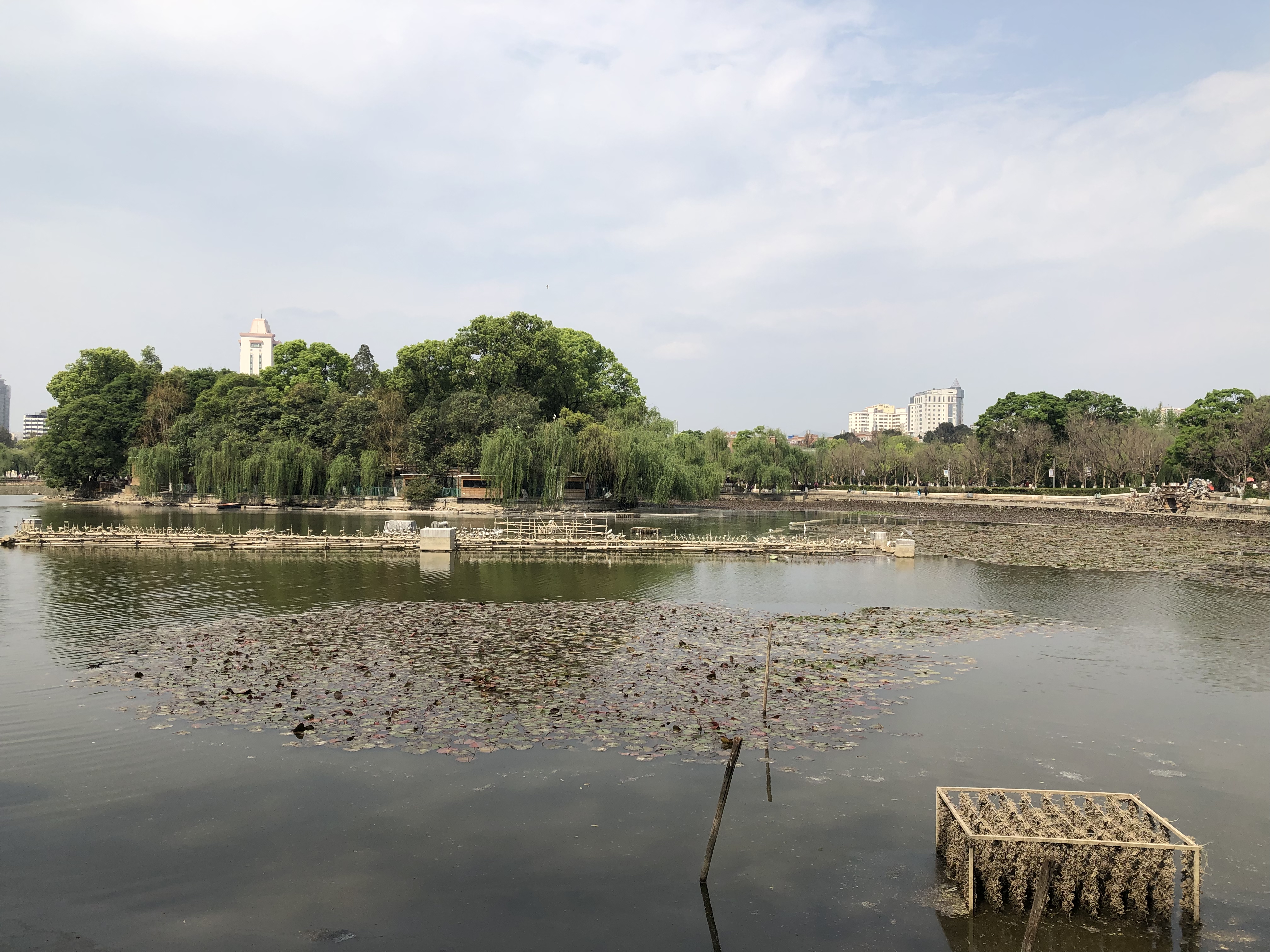 三亚气候宜居吗,三亚气候最好的时间