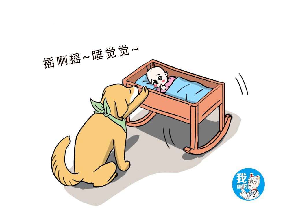 辟谣：听说养狗能降低高血压和冠心病的发病率，真有这么神奇吗？