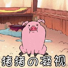 得猪瘟千万能吃猪肉小心传染,感染猪瘟的猪肉还能吃吗