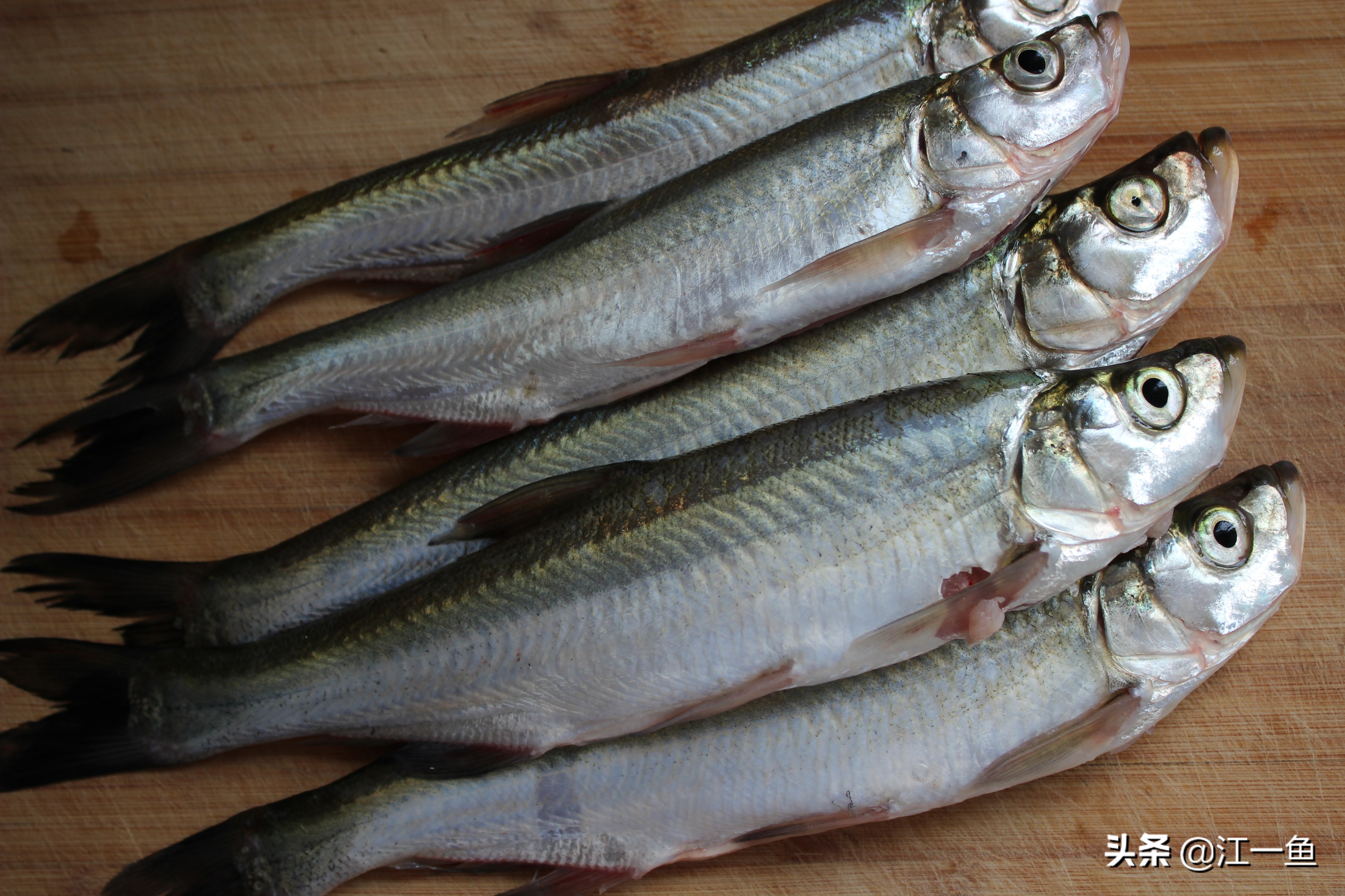 教你煎鱼技巧不掉皮又香酥,煎花鲢怎么不粘锅不掉皮