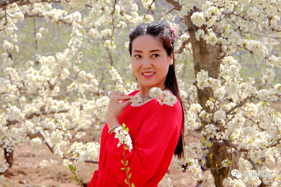 吉祥三宝代县,吉祥三宝柳林村图片