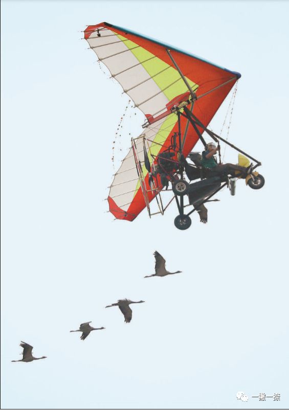 人民日报40年老照片全部,人民日报高质量短片