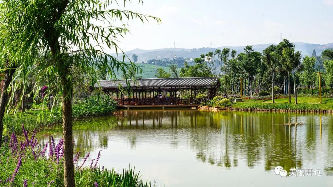 山水为证——走出一条具有开远特色的生态转型之路