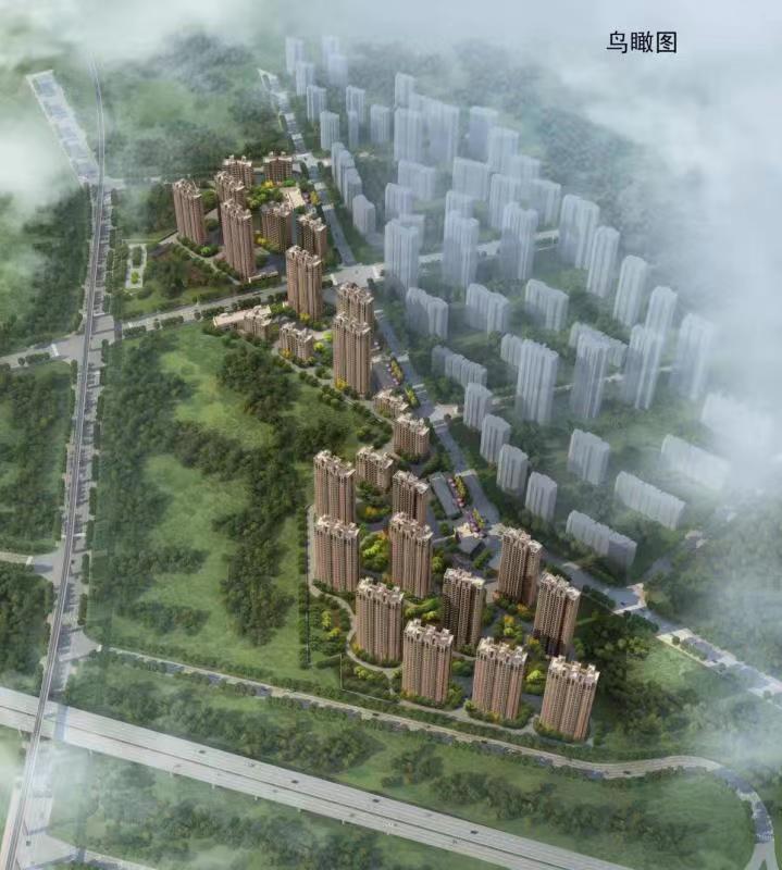 聚焦金普奇迹这里宜居宜业有眼光的人已抢占先机