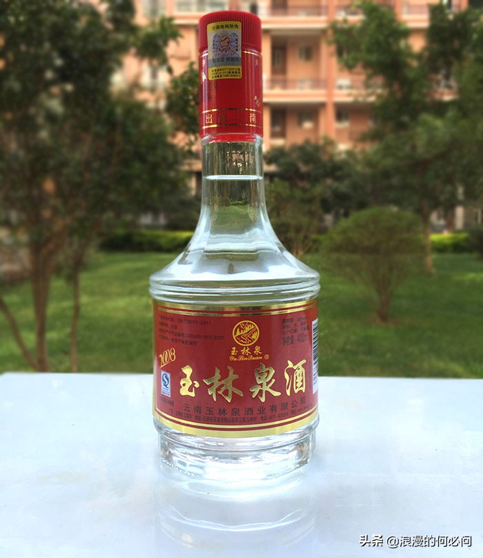 云南酒量全国排名,云南女生的酒量