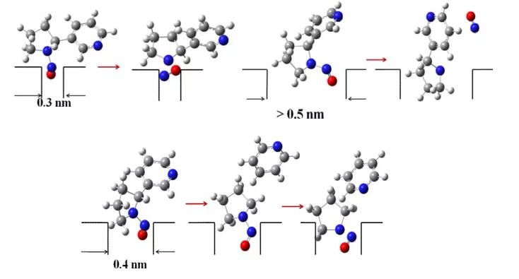 沸石去除水中有害物质效果,沸石能去除有机物吗