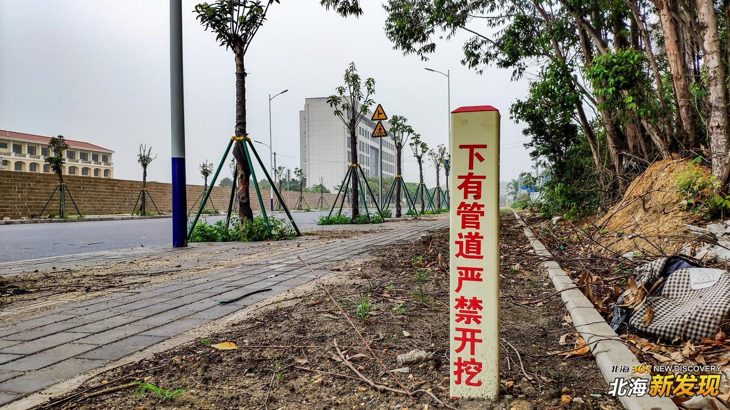 【北海新发现NO74】50亿超级大项目落户,打造北海旅游双“王炸”