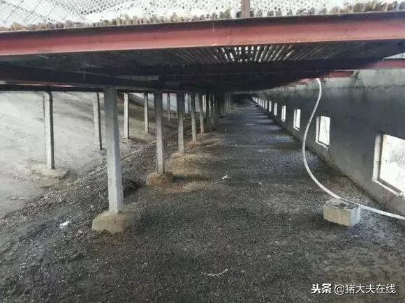 一条龙羊场,最大羊场