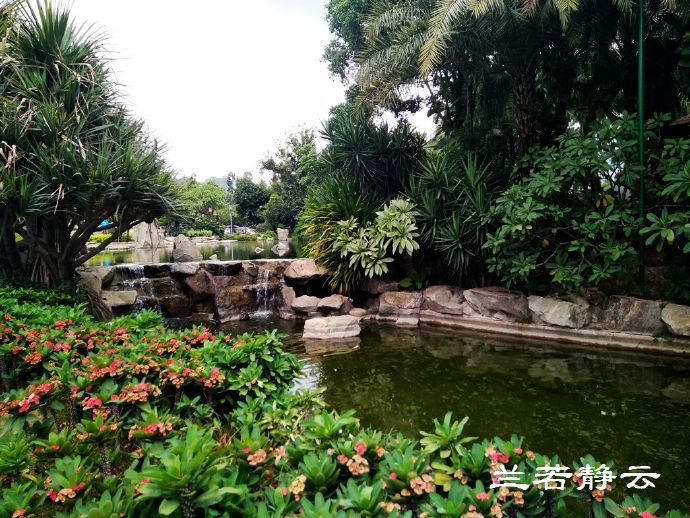 厦门日月谷温泉酒店预订价格,厦门日月谷温泉酒店套餐