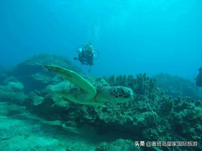 塞班岛八月份天气,塞班岛旅游价格表