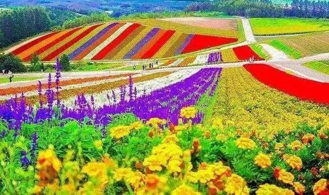 达则兼济天下·牡丹外