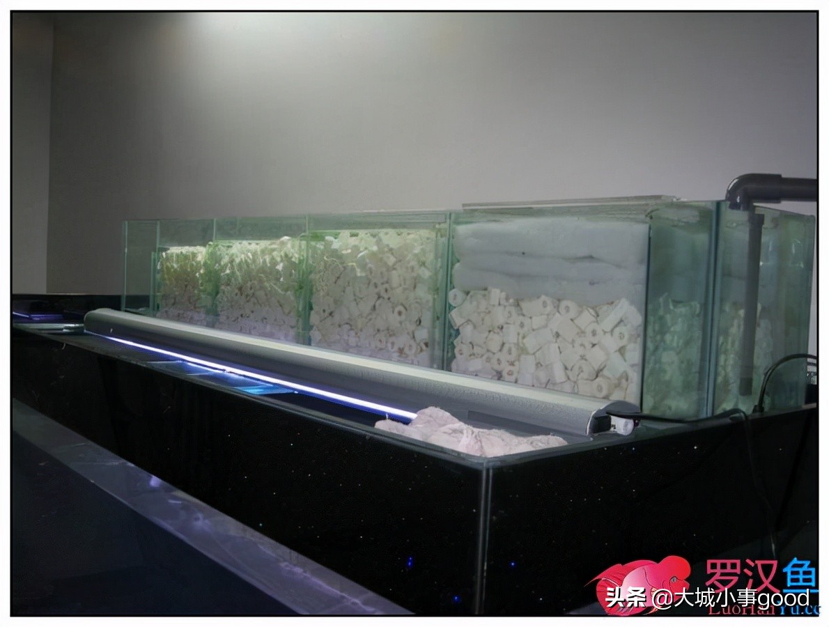 鱼缸过滤系统的基础解析,鱼缸过滤桶过滤原理