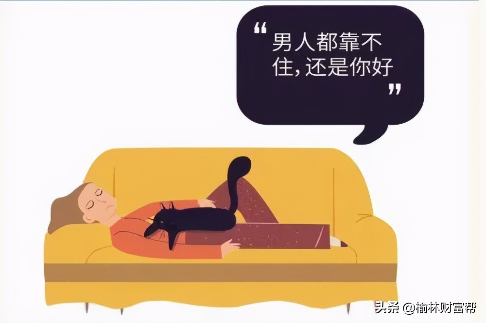 “萌宠经济”—未来十年最赚钱的新风口