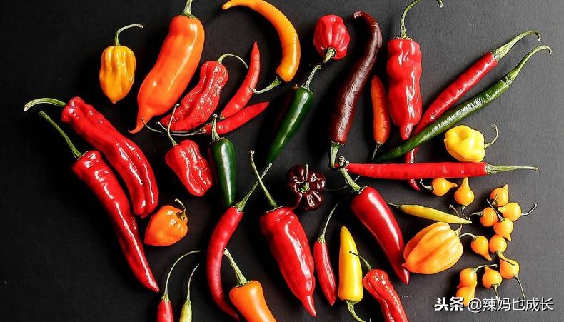 怀孕后饮食上应遵循六大原则,孕早期想吃辣的怎么做