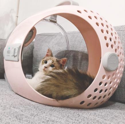 鍏荤尗濂界墿鍒嗕韩618鍥よ繖浜涘氨澶熷暒,鍏荤尗蹇呭洡濂界墿