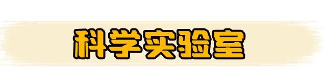 哪款塑身衣最好穿,一起来测评