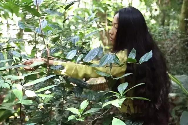 29岁不当记者，追随德国老公守护雨林，两女儿宛如天使，可不上学