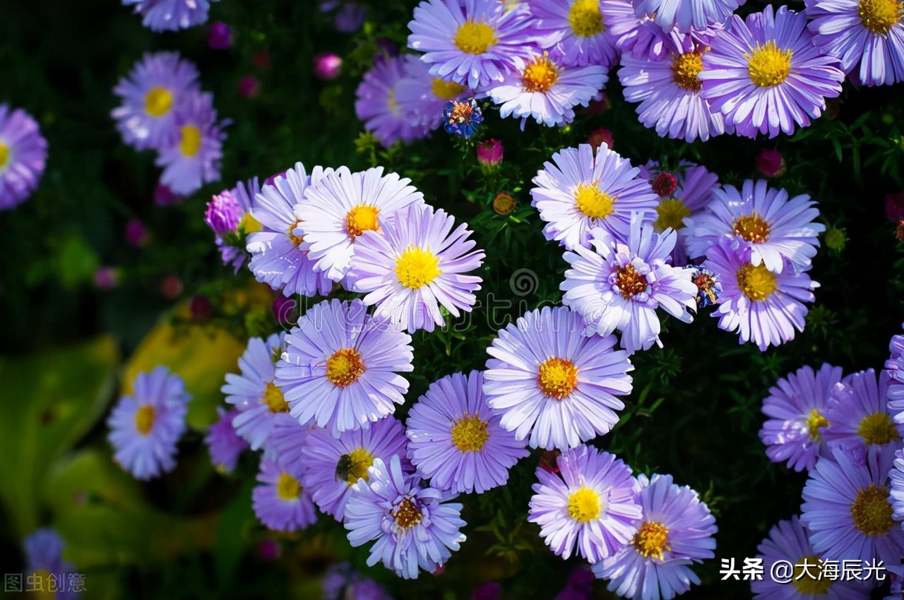 深秋天寒，时光可暖
